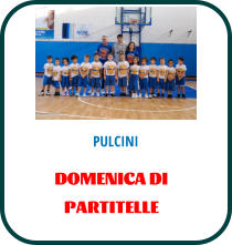 PULCINI DOMENICA DI PARTITELLE